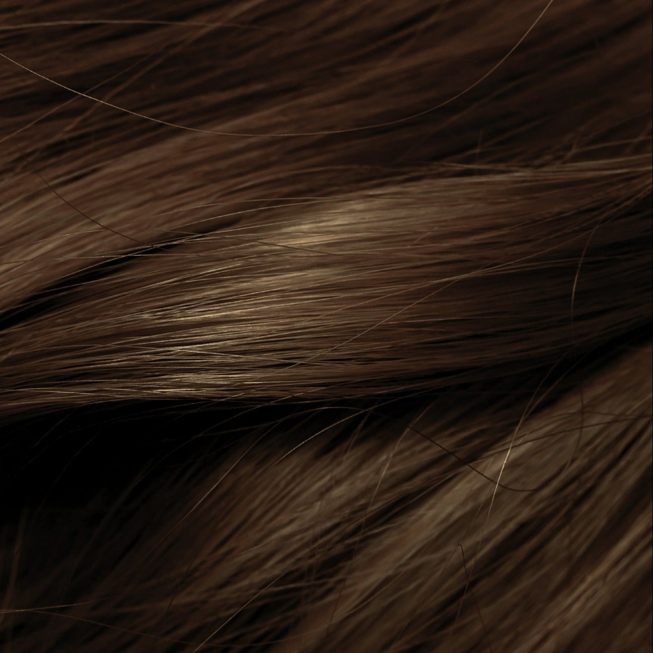 5.3- Castano Chiaro Dorato