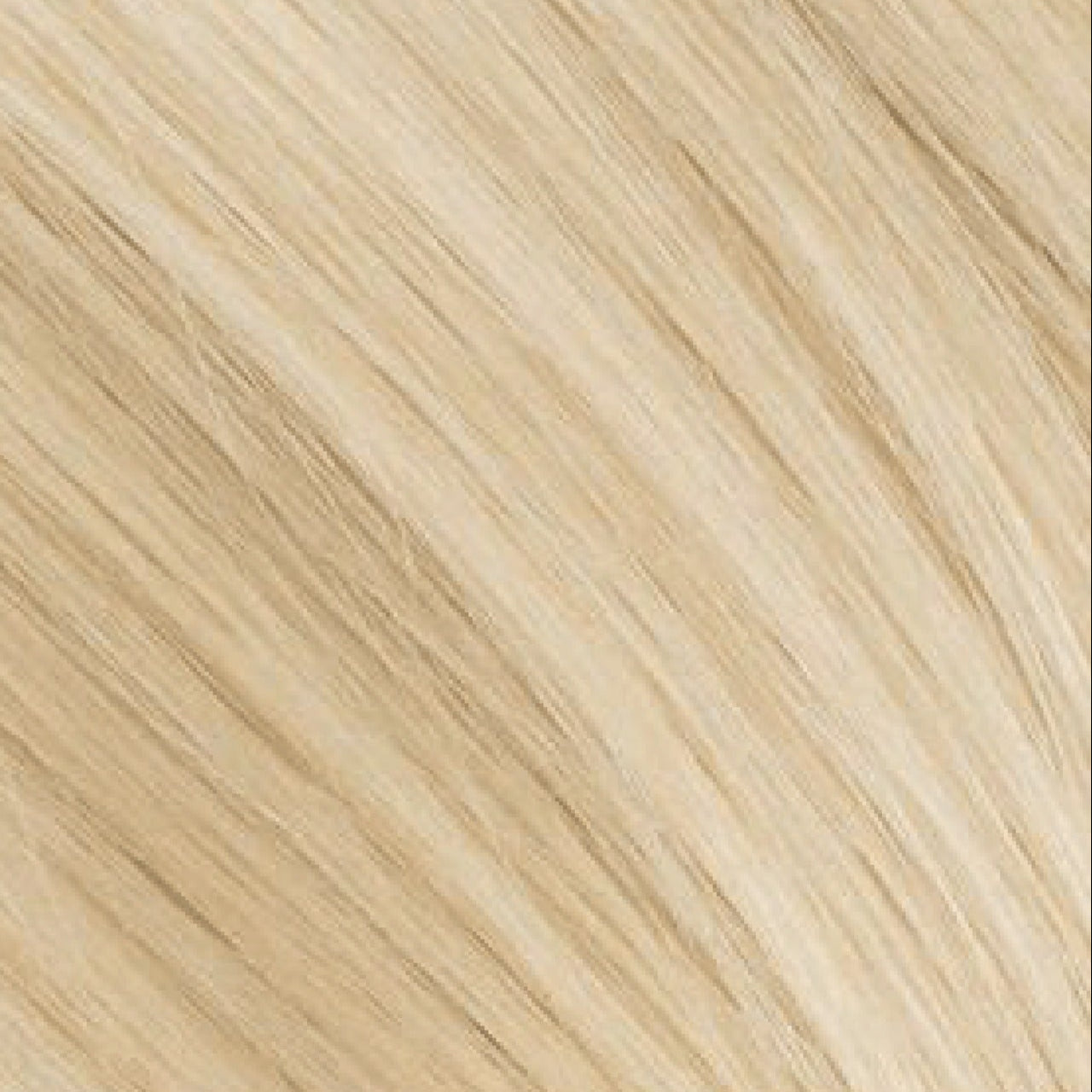 9.0- Biondo Chiarissimo