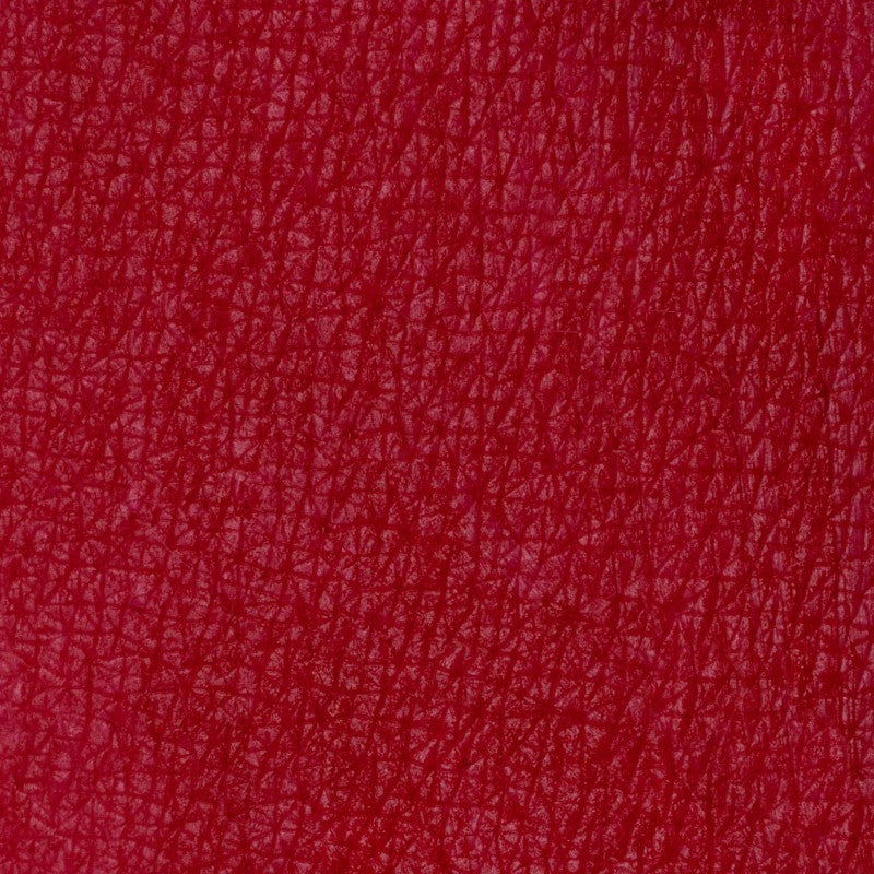 Matita labbra Winter Berry