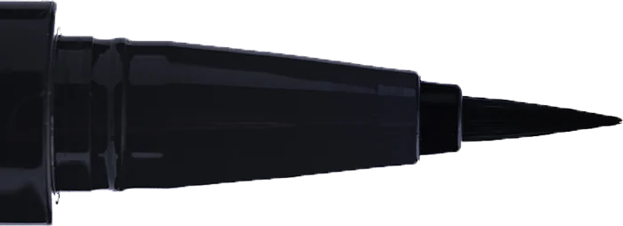 Eyeliner on fleek Brush pen