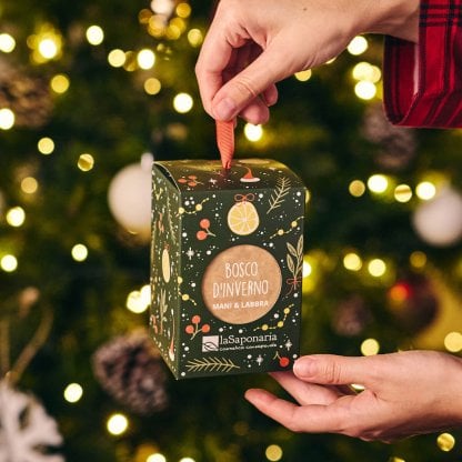 Lanterna Bosco d'inverno